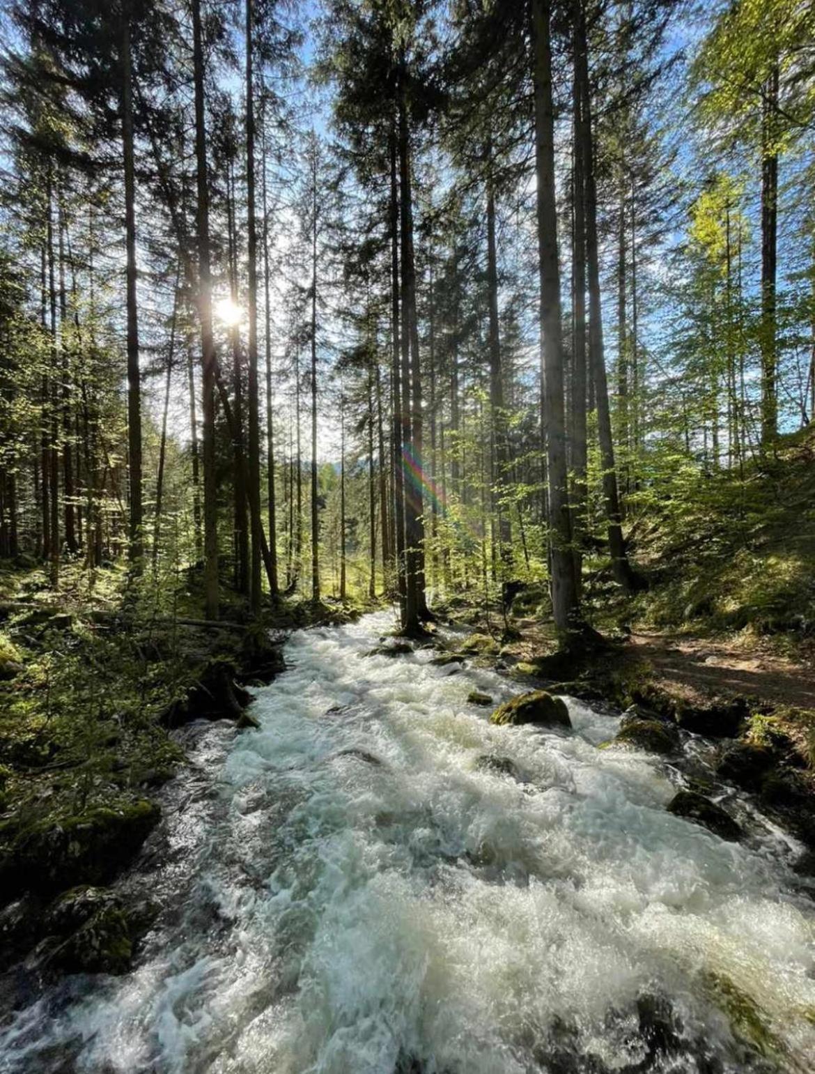 Ferienhaus Romantika Bad Aussee Luaran gambar